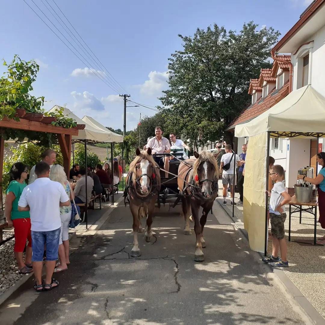 Bojanovské otevřené sklepy